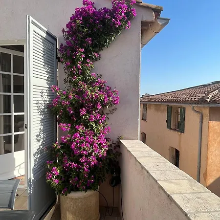 Elegant Flat Tropez With Terrace *